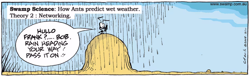 Swamp Cartoon - Swamp Science 2December 16, 2008