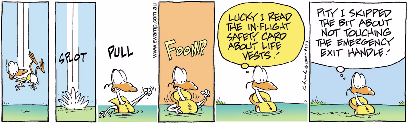 Swamp Cartoon - Safety Rules! 1December 18, 2008