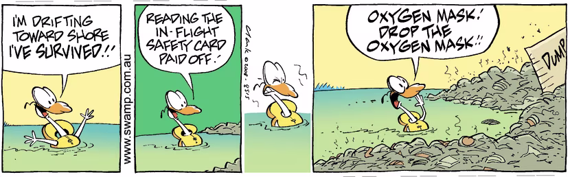 Swamp Cartoon - Safety Rules! 3December 20, 2008