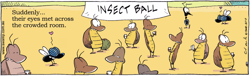 Swamp Cartoon - Flies Magic MomentDecember 24, 2008