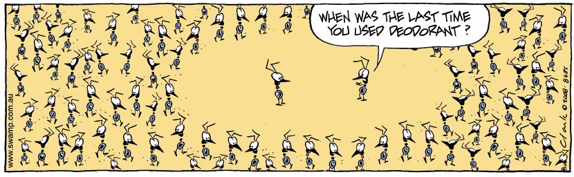 Swamp Cartoon - Take a HintDecember 25, 2008