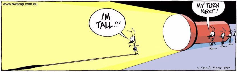 Swamp Cartoon - I see the light!January 3, 2009