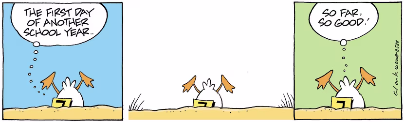 Swamp Cartoon - A Fresh StartJanuary 16, 2009