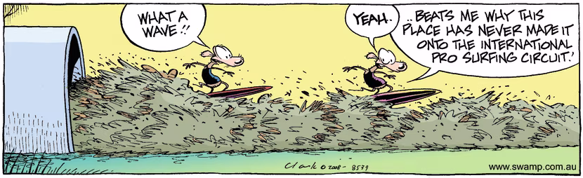 Swamp Cartoon - Sewerage SurfingJanuary 17, 2009