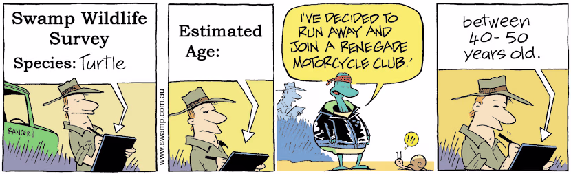 Park ranger is conducting swamp wildlife survey on Turtle who wants to join renegade motorcycle gang. Swamp Cartoon - Swamp Wildlife Survey TurtleFebruary 20, 2009