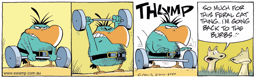 Swamp Cartoon - Budgies Return 2March 10, 2009