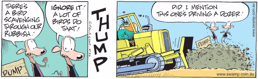 Swamp Cartoon - Budgies Return 3March 11, 2009