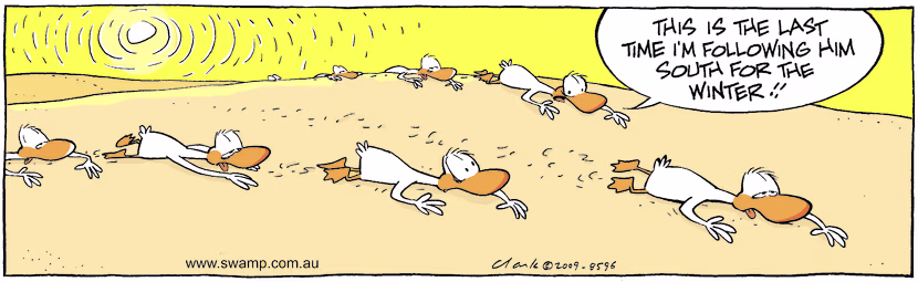Swamp Cartoon - Hot SituationMarch 25, 2009