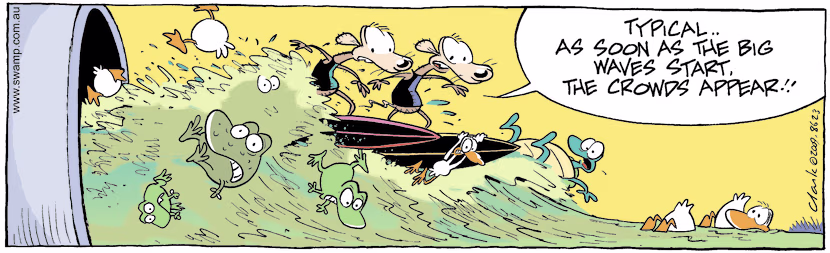 Swamp Cartoon - Surfing with the RodentsApril 25, 2009