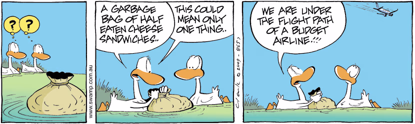 Swamp Cartoon - Litter Bugs 1June 4, 2009
