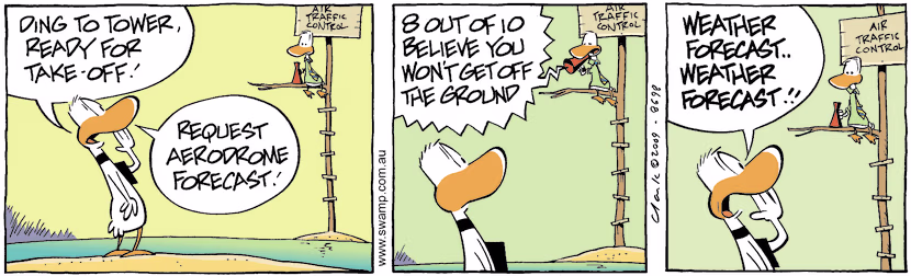 Swamp Cartoon - Poor ForecastJuly 22, 2009