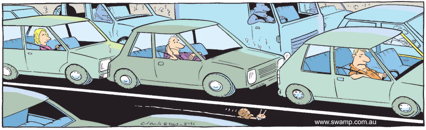 It's peak hour traffic and motorists are gridlocked but snail is going fast in express lane. Swamp Cartoon - Snail Express LaneNovember 13, 2009
