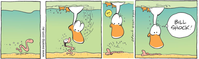 Swamp Cartoon - Rude AwakeningNovember 20, 2009