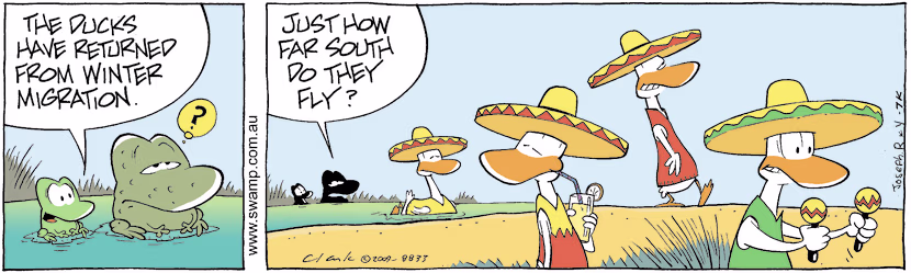 Swamp Cartoon - Southern ComfortDecember 26, 2009