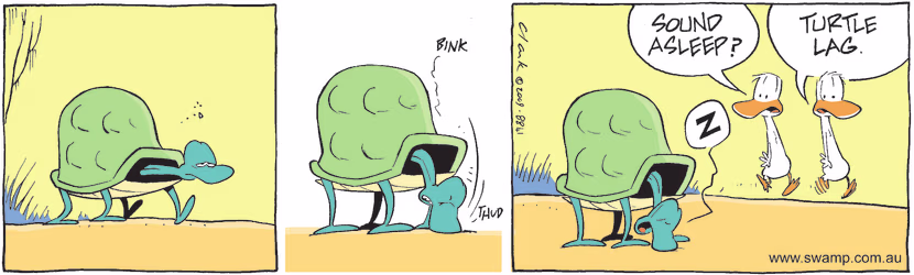 Swamp Cartoon - Turtle DozerJanuary 5, 2010