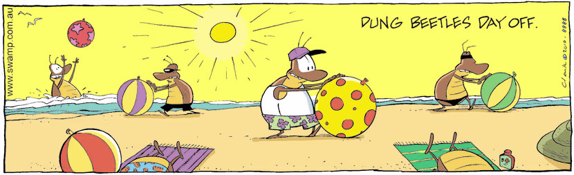 Swamp Cartoon - Big Day OutMarch 1, 2010