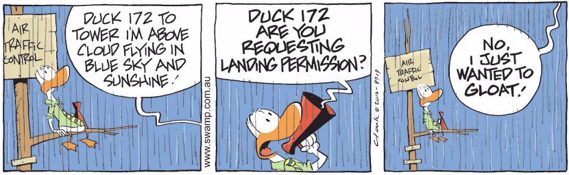 Swamp Cartoon - Heavy Weather 3April 6, 2010