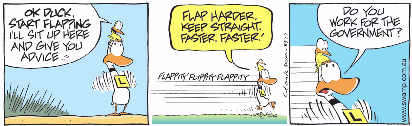 Swamp Cartoon - Advice Fun 1June 12, 2010