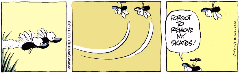 One of the flies is having landing trouble and the solution is an easy fix. Swamp Cartoon - Landing TroubleApril 22, 2025
