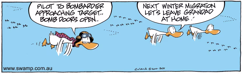 The Aviator Ducks realise they made a poor decision bringing Grandad for the winter migration. Swamp Cartoon - Poor DecisionApril 26, 2025