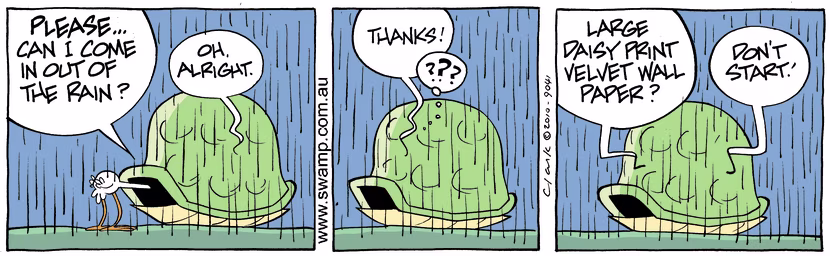 Nit Picker Bird begs to be let in to escape the rain and then makes reference to the daisy print wallpaper. Swamp Cartoon - Daisy Print WallpaperMay 2, 2025