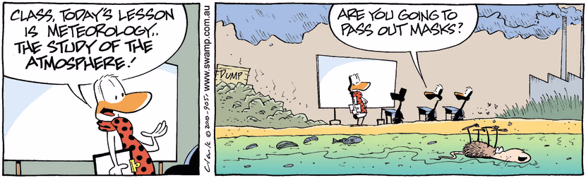 Whilst the next lesson on the atmosphere and there's a dead rat floating past, one student poses the obvious question. Swamp Cartoon - Obvious QuestionMay 14, 2025