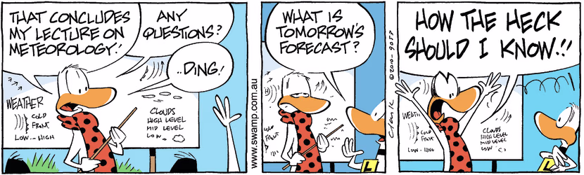 Swamp Cartoon - Stupid QuestionMay 16, 2025