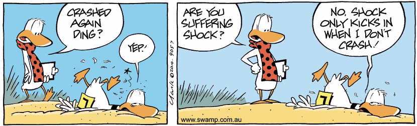 The Flying Instructor sees Ding Duck has crashed again and is concerned he is suffering shock. Swamp Cartoon - Suffering ShockMay 21, 2025