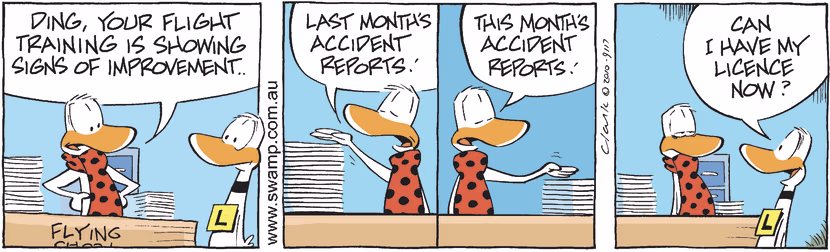 Swamp Cartoon - Obvious QuestionNovember 23, 2010