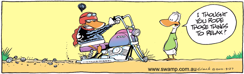 Swamp Cartoon - Does it look like it?December 4, 2010