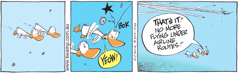 Swamp Cartoon - Flying RisksDecember 11, 2010