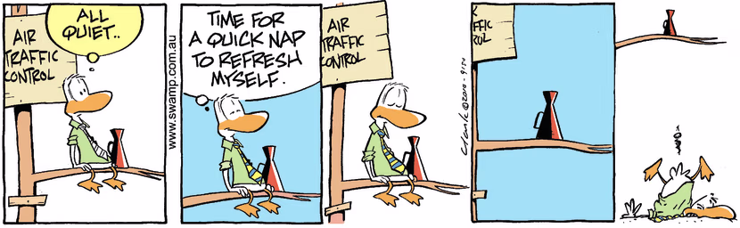 Swamp Cartoon - Siesta DisasterDecember 31, 2010