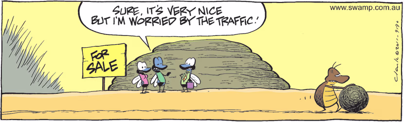 Swamp Cartoon - Location ProblemFebruary 16, 2011