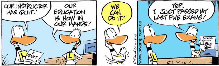 Swamp Cartoon - The Takeover 1May 7, 2011