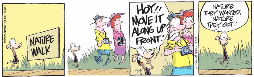 Swamp Cartoon - The show must go on………May 19, 2011