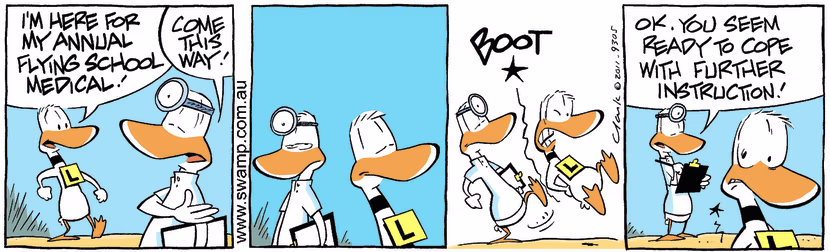 Swamp Cartoon - Ding Duck Annual Medical ComicJune 30, 2011
