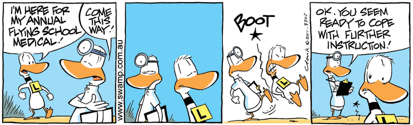 Swamp Cartoon - Ding Duck Annual Medical ComicJune 30, 2011