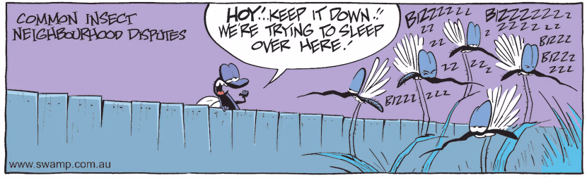 Swamp Cartoon - Insect RivalryJuly 22, 2011
