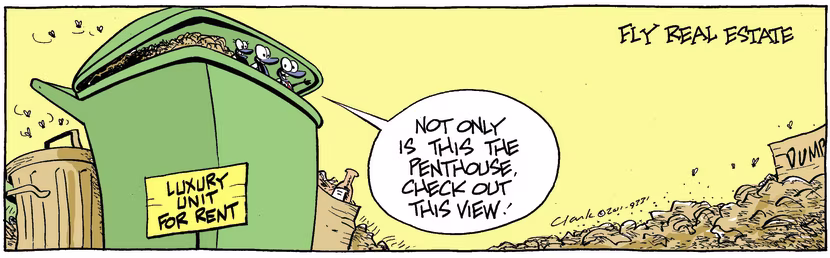 Swamp Cartoon - The best place to live…July 30, 2011