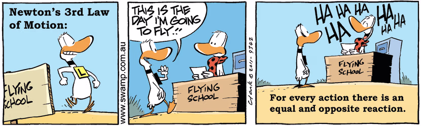 Swamp Cartoon - Newtons Fun 3August 12, 2011
