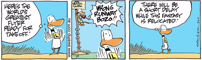 Swamp Cartoon - Aviation Confusion 2November 10, 2011