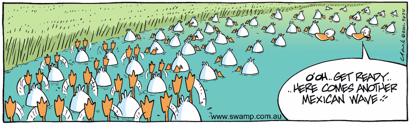 Swamp Cartoon - Not again!November 28, 2011
