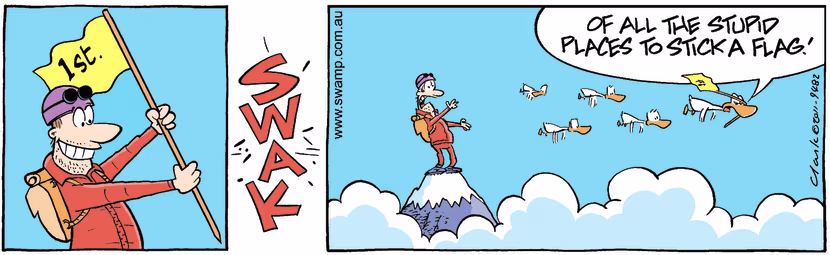 Swamp Cartoon - Air Traffic ProblemJanuary 23, 2012