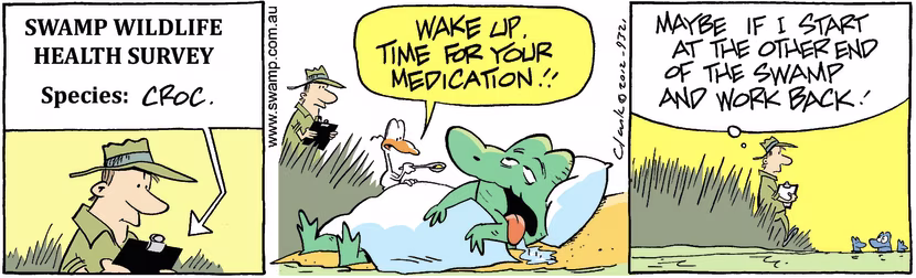 Nit Picker Bird is waking old man croc to take his medication just as park ranger arrives. Swamp Cartoon - Old Man Croc MedicationSeptember 7, 2024