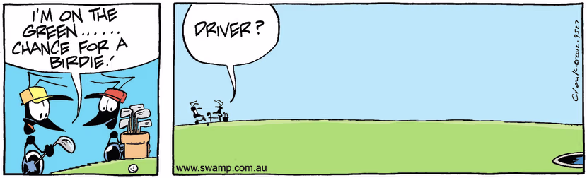 Swamp Cartoon - Fair PlaySeptember 16, 2024