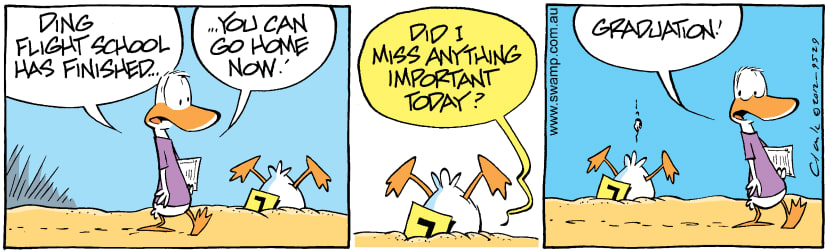 Swamp Cartoon - What happened today?March 17, 2012