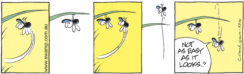 Swamp Cartoon - Landing Challenge 1May 9, 2012