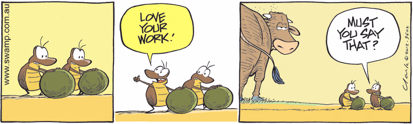 Very appreciative dung beetle tells bull he loves the effort he puts into creating dung. Swamp Cartoon - Appreciative Dung BeetleMarch 20, 2021