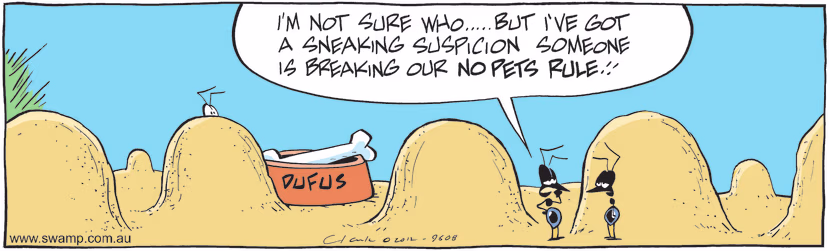 Swamp Cartoon - Tenant SecretsOctober 17, 2024