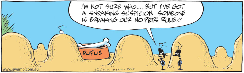 Swamp Cartoon - Tenant SecretsJune 18, 2012